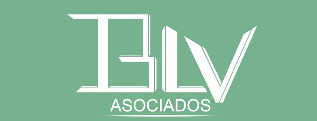 consulta BLV Asociados